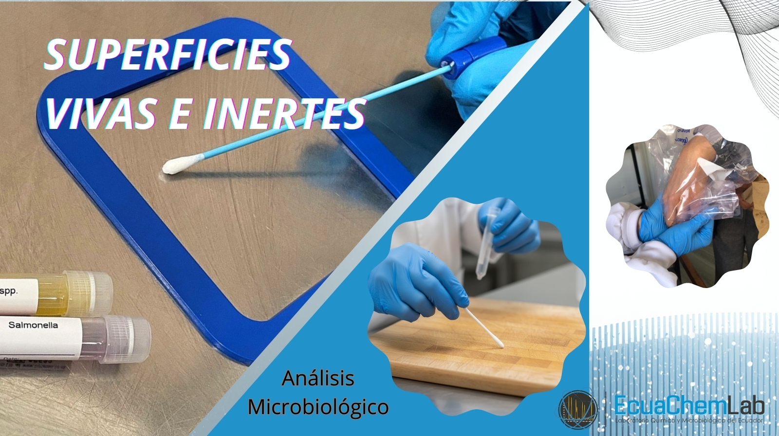 Análisis microbiológico en superficies vivas e inertes: un pilar de la inocuidad alimentaria.